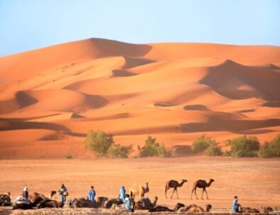 Viajes por el desierto de Agadir