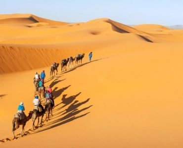 camels-in-the-desert.jpg