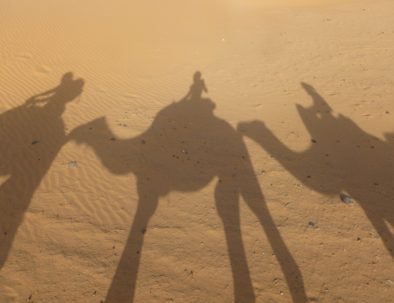 Shadow of camel trekking Merzouga