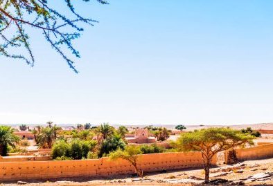 Oasis of Merzouga desert