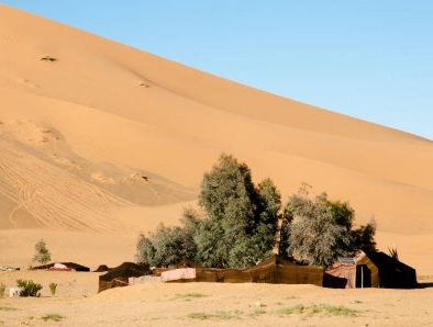 Oasis and camping merzouga desert