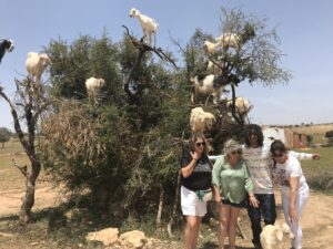 Excursion to Essaouira from Marrakech