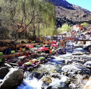 Excursion from Marrakech to Ourika