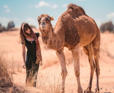 photo-of-person-beside-camel-3889895 (1)